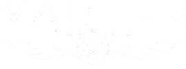 master-servicos